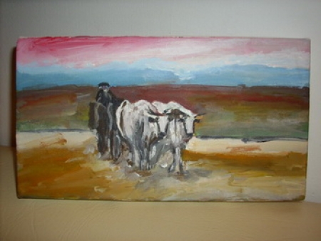 Car cu boi / Serafim Victor