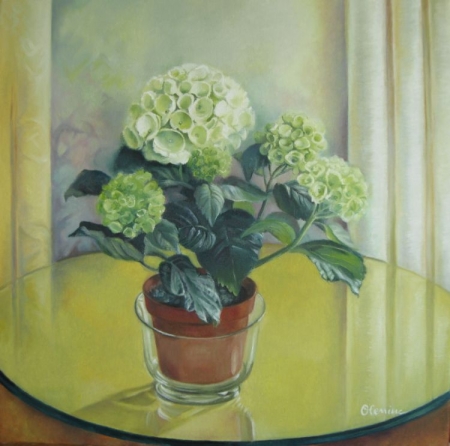 Hydrangea / Oleniuc Elena