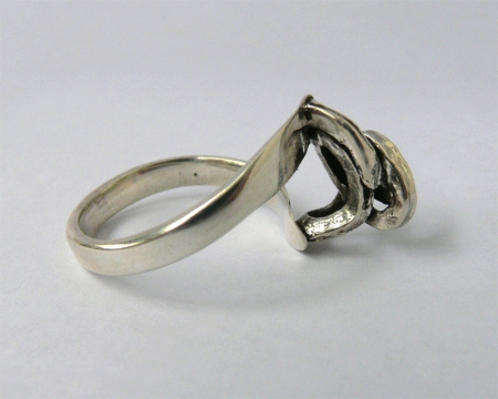 Silver Ring / Iusan Vasile Liviu Adrian