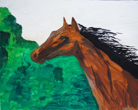 Horse / Paun Irina