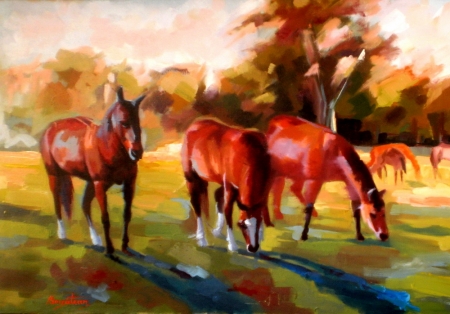 Horses at pasture / Bogatean Calin