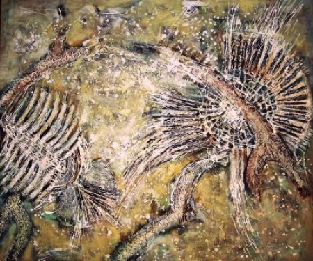 Sea Fauna / Boicescu Traian Stefan