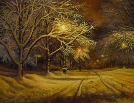 ny winter night / Sandu Eduard