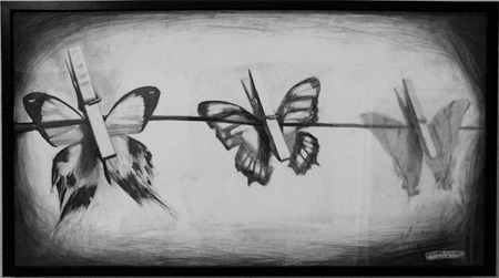 Butterflies / Szabo Andrei