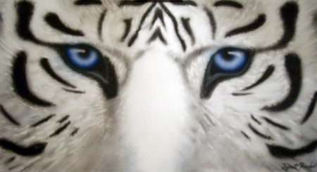 Maltese Tiger (blue tiger) / Ignat Radu