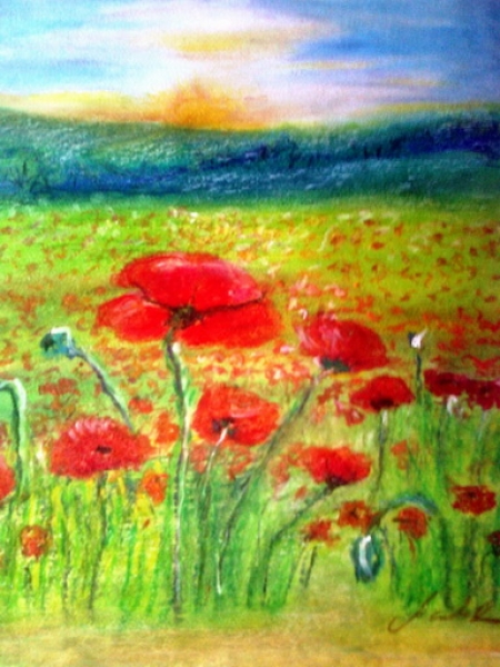 poppies / Moada Marcela Elena