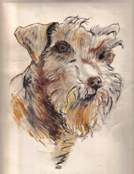 fox-terrier / Barnut Irina