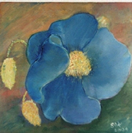 Blue Flower / Dumitrescu Zelici Steluta