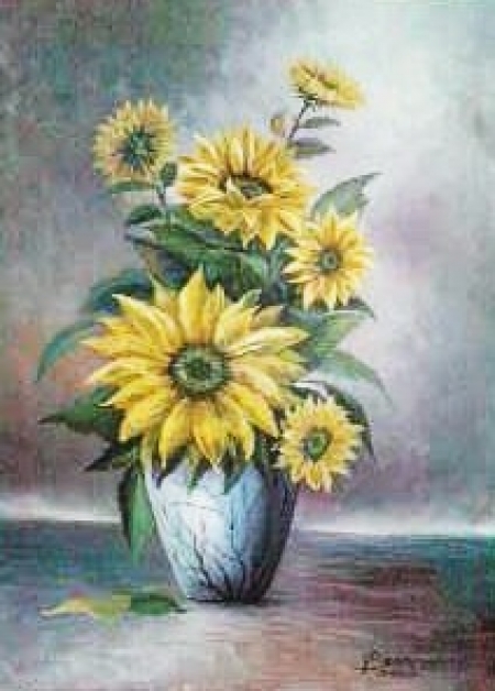 Sunny-flower / bran viorel