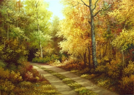 AUTUMN LIGHTS / Sandu Eduard