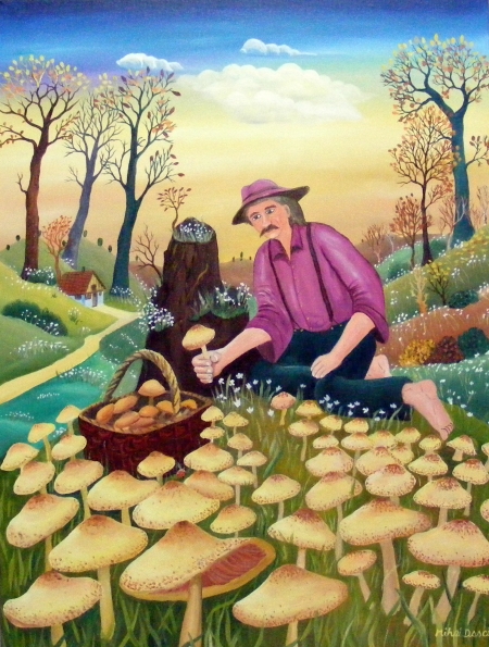 harvesting mushrooms / Dascalu  Mihai