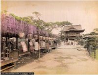 Exhibition - Japanesse Photo                                                                                                                                                                                                                                   