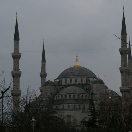 Moscheia Albastra