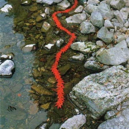 Andy Goldsworthy|link_style: