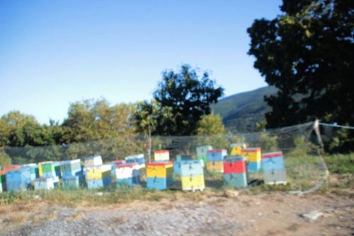 stupi Pelion Grecia