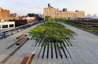 High Line Park New York