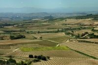La Rioja regiunea vinurilor superioare
