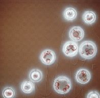 Brides of Frankenstein at San Jose Museum of Art