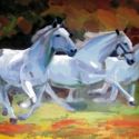 White Horse running