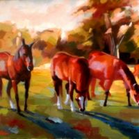 Horses at pasture