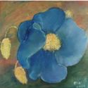 Floare albastra
