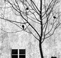 Galerie FOTO: Best Of Russia – Cele mai bune fotografii din Rusia 2011