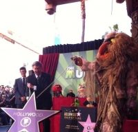 Papusile Muppets au primit o stea pe Walk of Fame