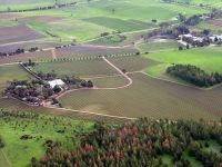 Barossa Valley cea mai faimoasa regiune viticola a Australiei
