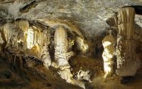 Postojna Cave the greatest tourist attraction in Slovenia