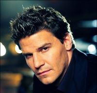 David Boreanaz