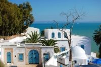 Sidi Bou Said un sat pitoresc din Tunisia