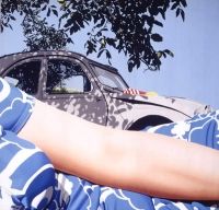 Reinnoirea tapiseriei contemporane din 1950 pana in zilele noastre la MNAC