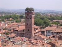 Torre Guinigi neobisnuitul turn cu gradina de stejari pe acoperis