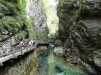 The Vintgar Gorge in Slovenia