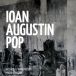 Expozitie de pictura de Ioan Augustin Pop in Noua Galerie a IRCCU Venetia