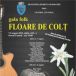 Eveniment in memoria lui Florian Pittis Gala muzicii folk Floarea de Colt