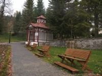 Borsec. How It All Began