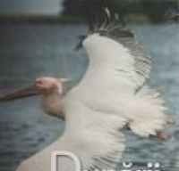 Danube Delta, Artec Impresiones Publishing
