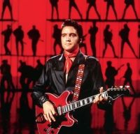 O chitara care i-a apartinut lui Elvis Presley s-a vandut cu 625 000 de dolari