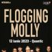 Flogging Molly canta in Quantic