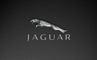 Logo ul pentru masinile Jaguar a fost creat in 1935