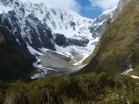 Unusual Facts About New Zealand