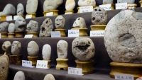 Chinsekikan, muzeul japonez al pietrelor devenite chipuri