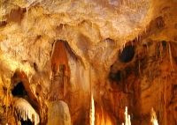 Cave of the Bears from Bihor Romania