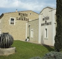 The Lavender Museum in Provence