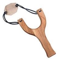 Muzee iesite din comun