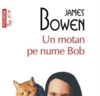 Un motan pe nume Bob de James Bowen