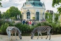 Austria, tara unde se gaseste cea mai veche gradina zoologica din lume